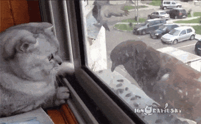 b5d2f10115ed2a29f8089ad4802f1510.gif