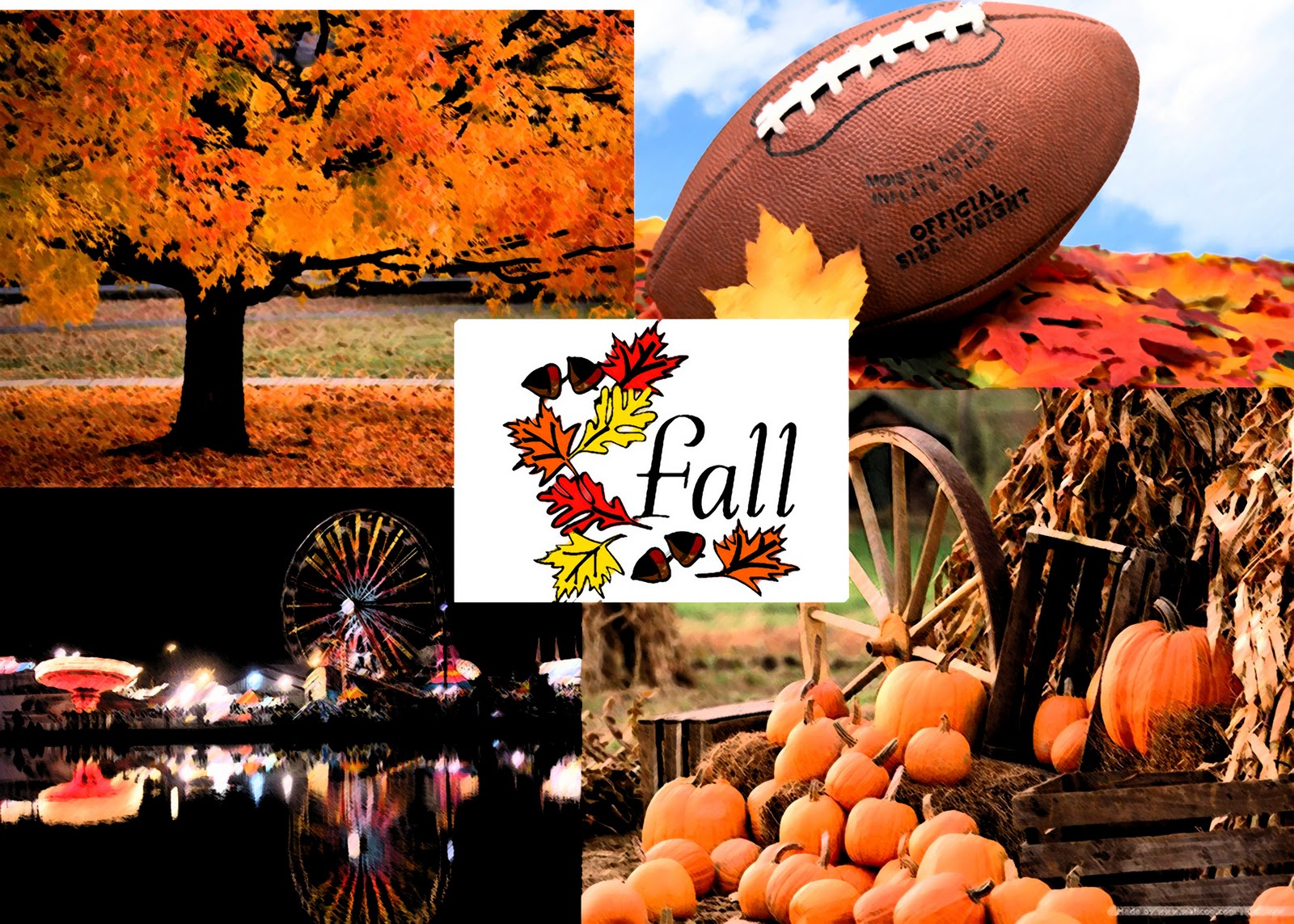 Fall+collage.jpg