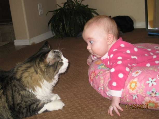 spacekittybaby.jpg