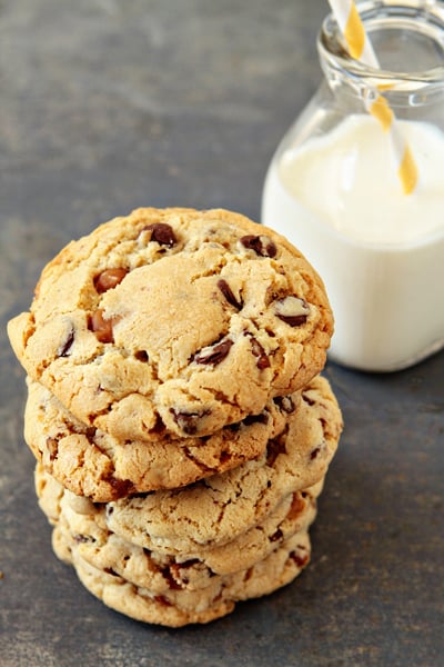 Turtle-Cookies2.jpg