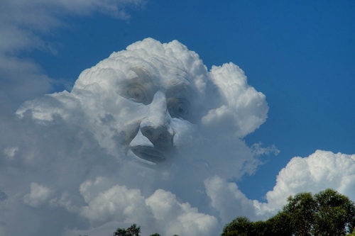 4426777904_8fa3176ae1.jpg