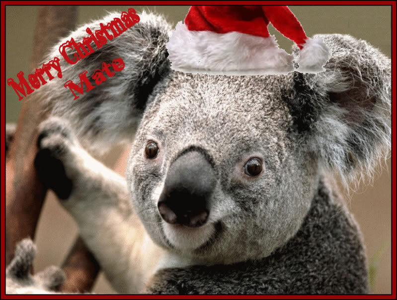 aussiemain.jpg