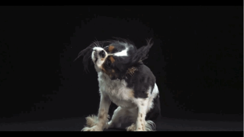 6m8xvk0.gif