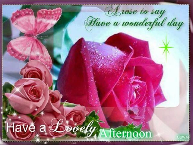 be496cbb0685c401389211d9423a88d5.jpg
