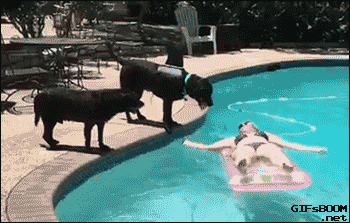 TAqo.gif