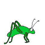 cricket.gif