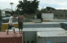 ani_pushed-flipper.gif
