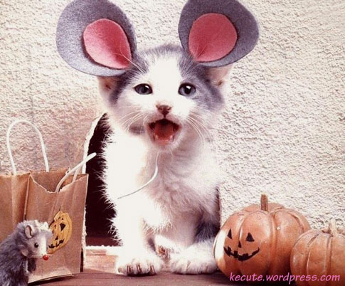 costume21.jpg