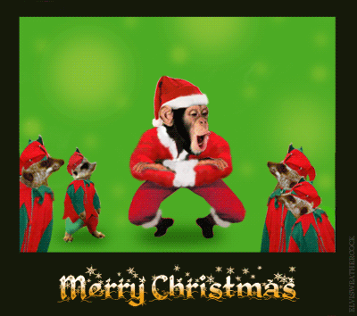 christmas-cossack-chimp-lon.gif