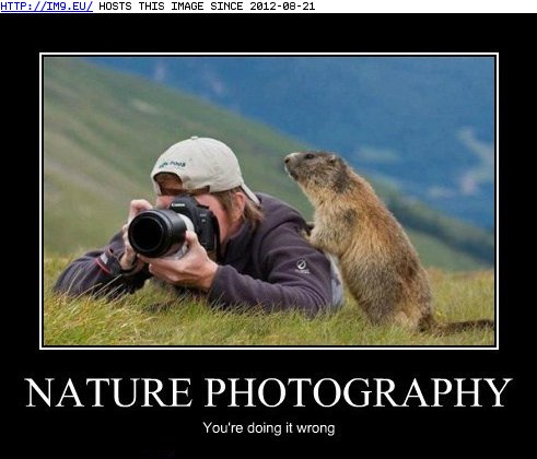 funny-animal-captions-animal-capshunz-nature-s-this-way-pal.jpg