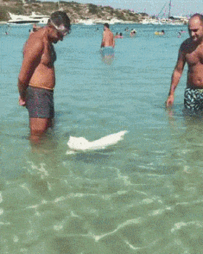 0db4208dad715c79947ae56bce2fa8e9.gif
