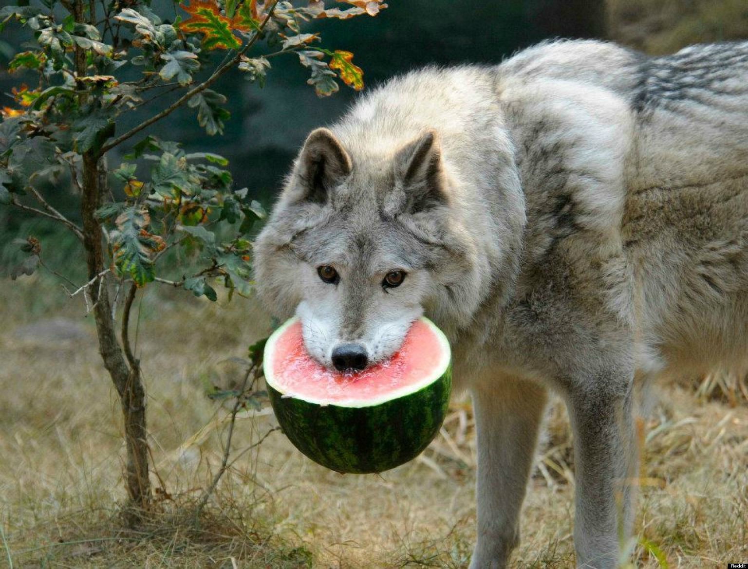 jqnpVTk.jpg