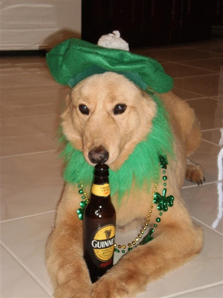fav-party-animal.png