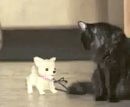 are-you-guys-seeing-this-crazy