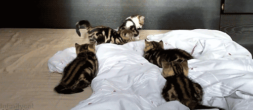 leap-frog