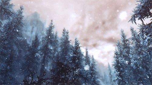 45650-Falling-Snow.gif