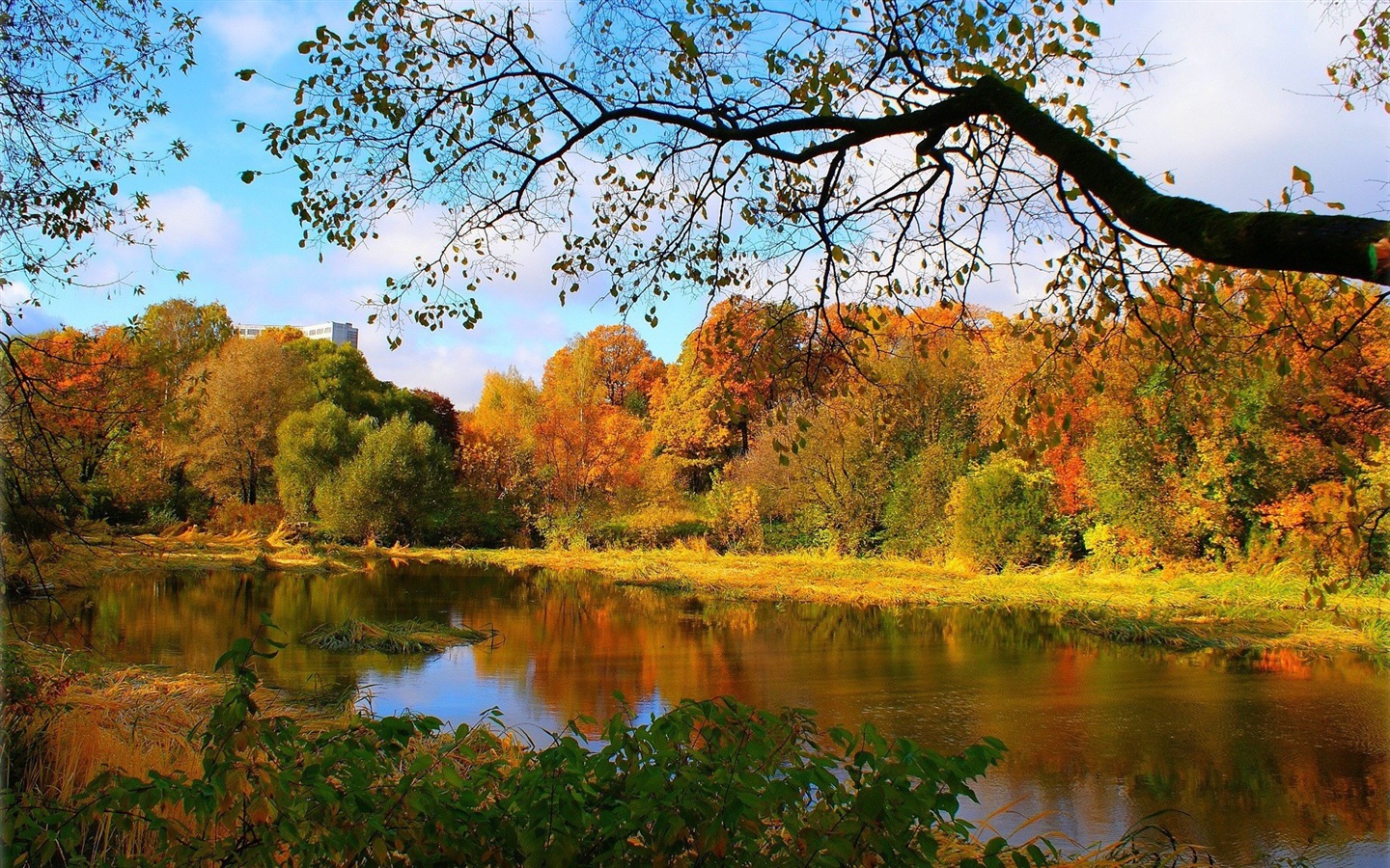 Autumn-Forest-River-2.jpg