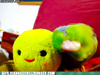 -zlmh-zdIkCn0iyn1bXsIg2.gif
