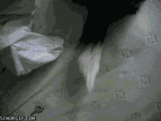 surprise