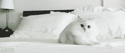 rUsqRbS.gif