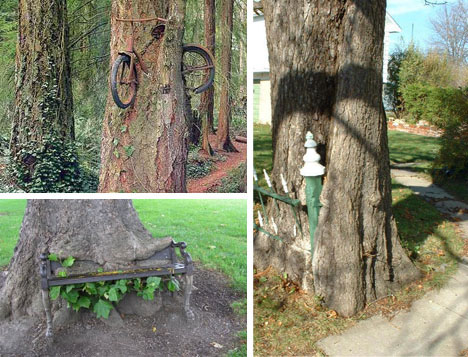 trees-eating-objects.jpg