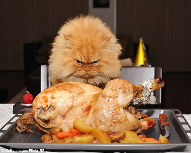 1412610366989_wps_4_Dinner_Party.jpg