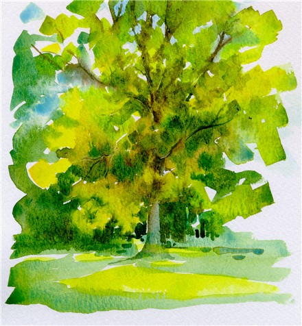 warm-up-tree-watercolor-051010-a.jpg