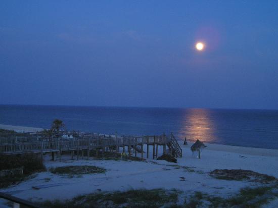 moonlight-on-the-beach.jpg
