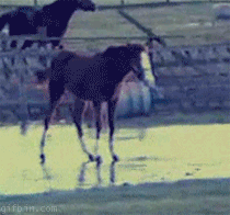 hvdnoQe.gif
