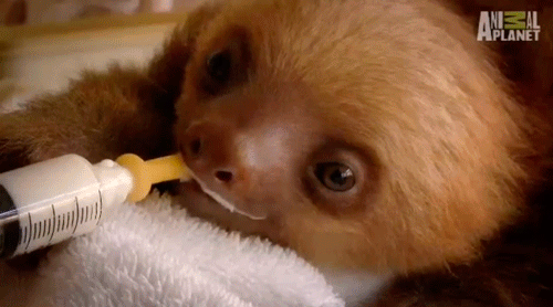 J8zQH7J.gif