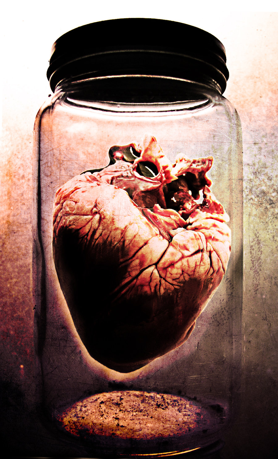 jar_of_hearts_by_meandarksmile-d36ul8g.jpg