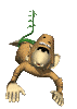 Moving-picture-monkey-swinging-on-vine.gif