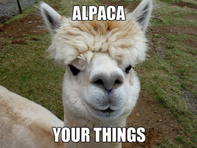 amusing_animal_puns_selection_640_01.jpg