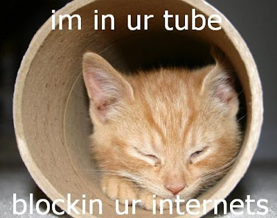 lolcat+internets.jpg