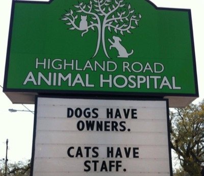 vet-signs-13.jpg