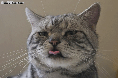 990e5438467f8e2166ee649ef2623be1.gif