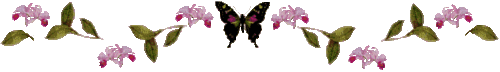 BUTTWRFLY.gif