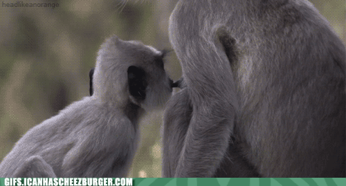 ow-owwww