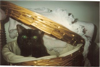 scan16.jpg