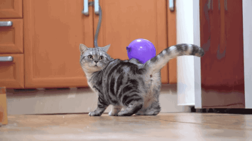 b92.gif