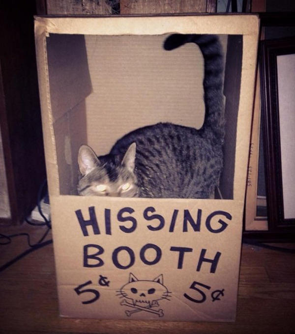 hissing-booth.jpg