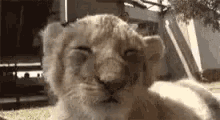 happy-good-night.gif