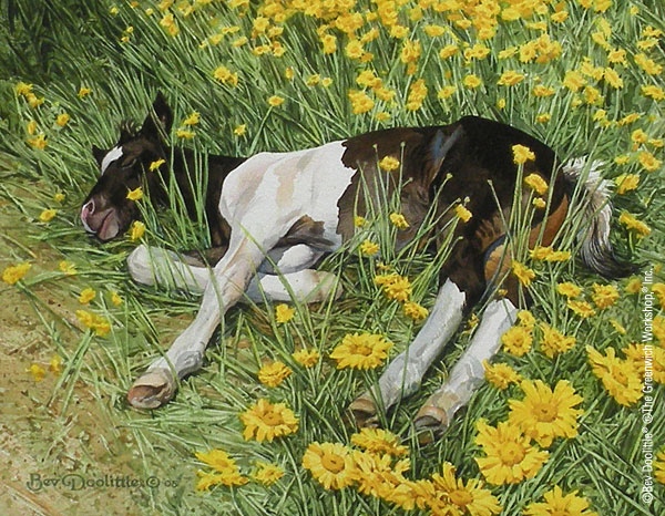 doolittle-spring-break.jpg