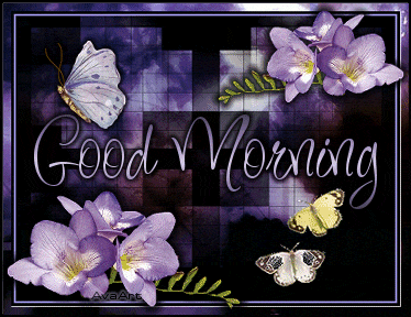 23455fbb568d18534a5d3e768db5a652.gif