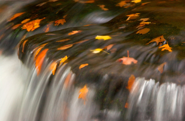 Partridge-Run-Final-exposed-M.jpg