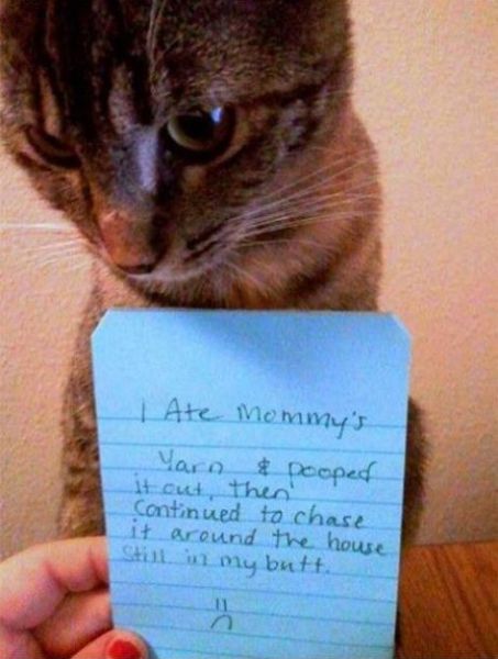 acid_picdump_82.jpg