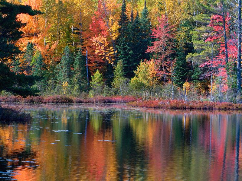 fall.jpg