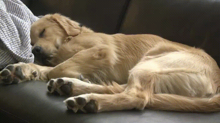 KwOw4Qx.gif