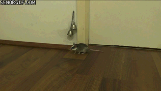 mouse-rings-the-doorbell