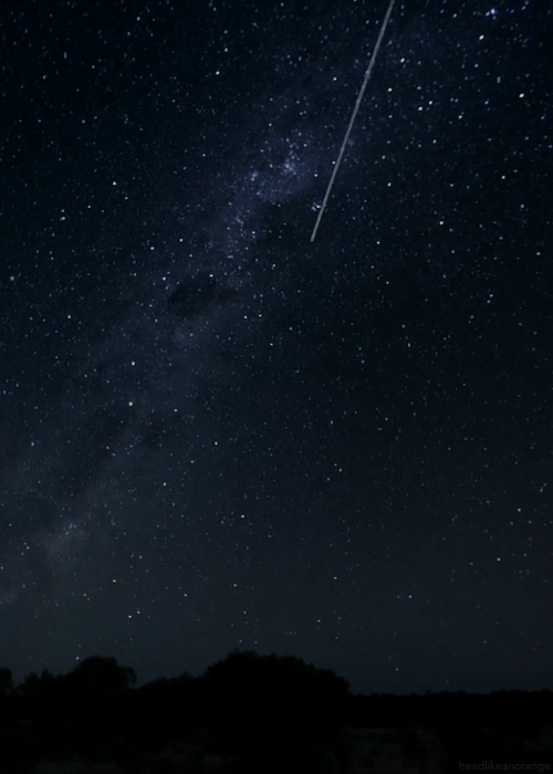 nature-4.gif